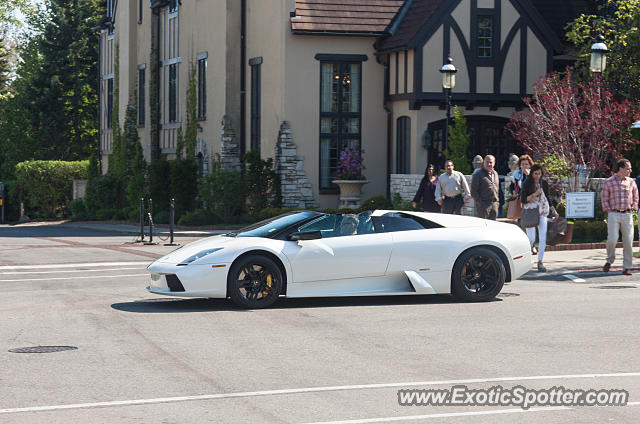 Lamborghini Murcielago spotted in Lake Forest, Illinois