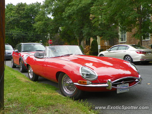 Jaguar E-Type spotted in Watkins Glen, New York