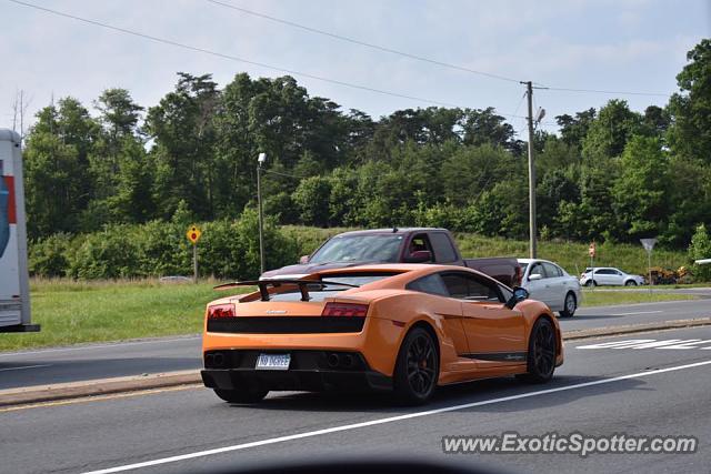 Lamborghini Gallardo spotted in Independent Hill, Virginia