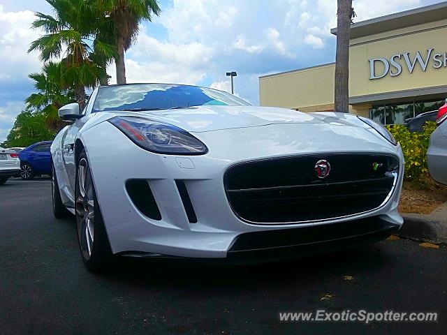 Jaguar F-Type spotted in Brandon, Florida