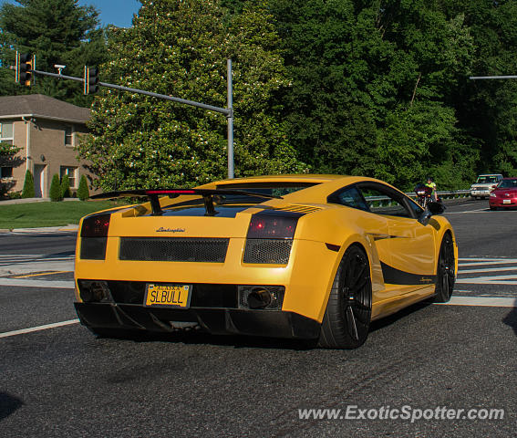 Lamborghini Gallardo spotted in Bethesda, Maryland