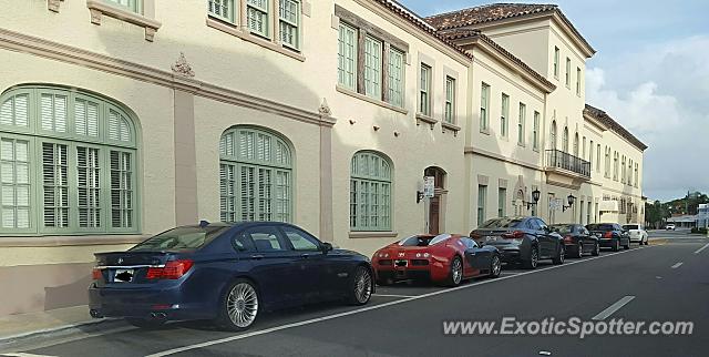 Bugatti Veyron spotted in Palm Beach, Florida