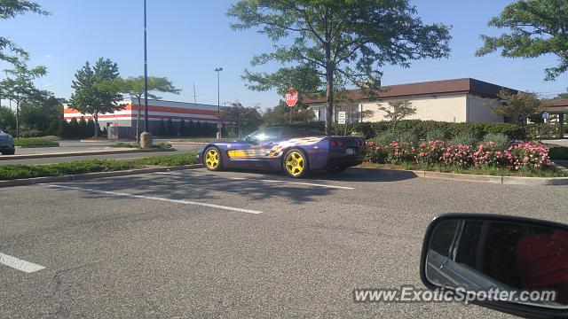 Other Other spotted in Brick, New Jersey