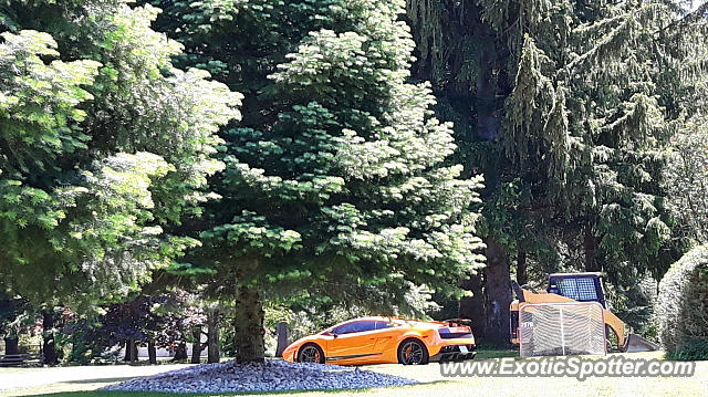 Lamborghini Gallardo spotted in London, Ontairo, Canada