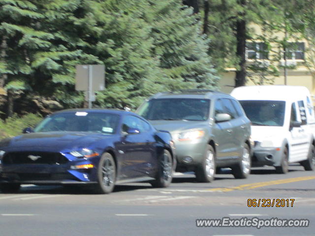 Other Other spotted in Flagstaff, Arizona