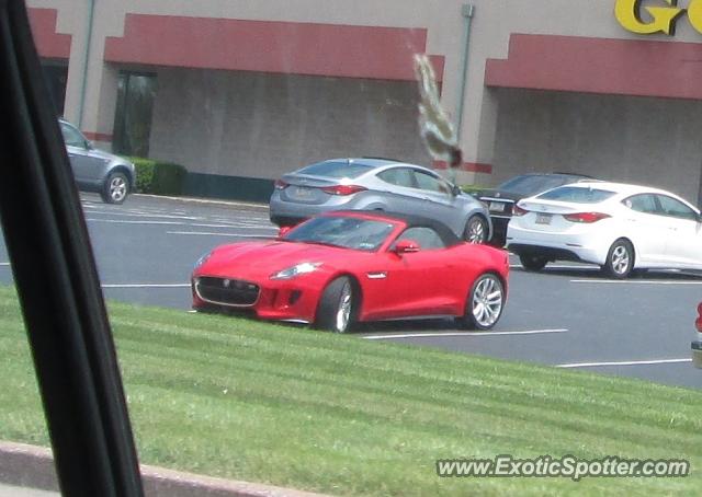 Jaguar F-Type spotted in Camp Hill, Pennsylvania