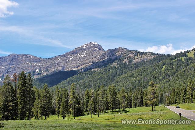 Chevrolet Corvette Z06 spotted in Yellowstone NP, Montana
