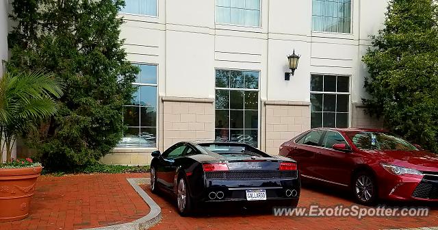 Lamborghini Gallardo spotted in Columbus, Ohio