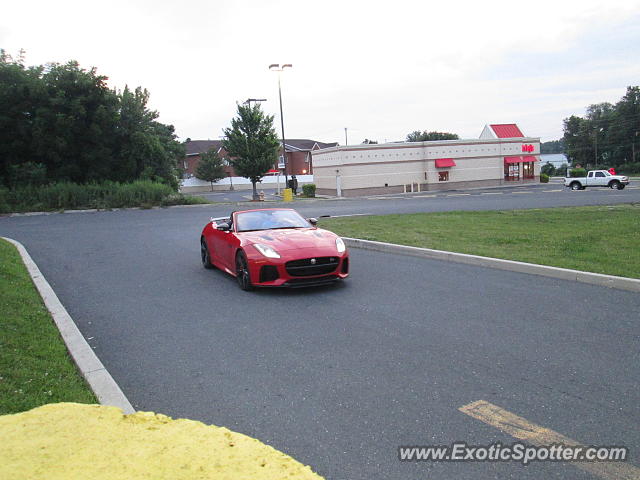 Jaguar F-Type spotted in Mechanicsburg, Pennsylvania