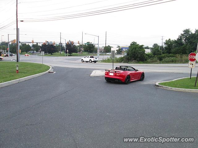 Jaguar F-Type spotted in Mechanicsburg, Pennsylvania