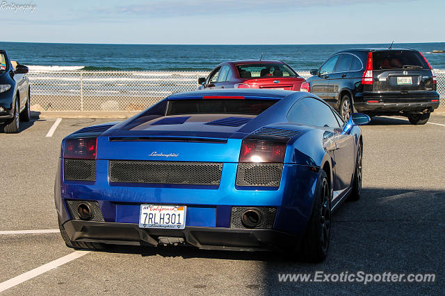 Lamborghini Gallardo spotted in Wells, Maine