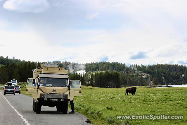 Other Vintage spotted in Yellowstone, Wyoming
