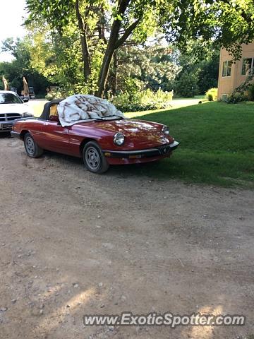 Alfa Romeo Montreal spotted in Utica, Michigan