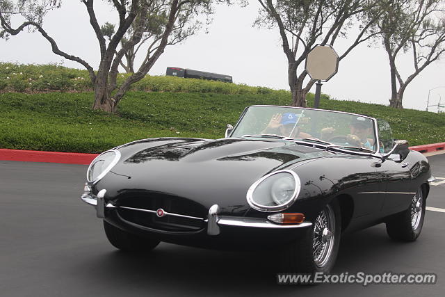 Jaguar E-Type spotted in Newport Beach, California