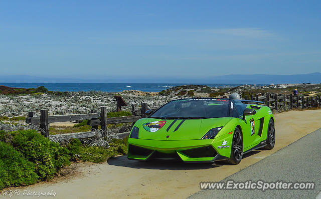 Lamborghini Gallardo spotted in Spanish Bay, California