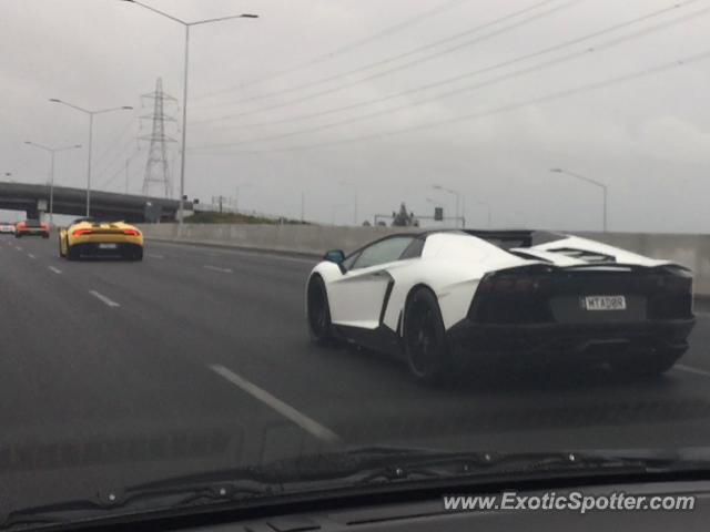 Lamborghini Aventador spotted in Auckland, New Zealand