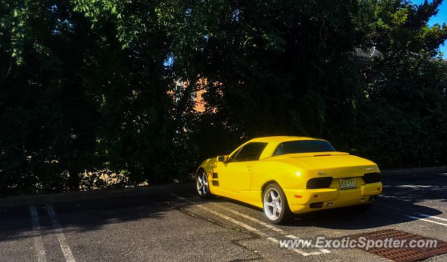 Qvale Mangusta spotted in Shrewsbury, New Jersey