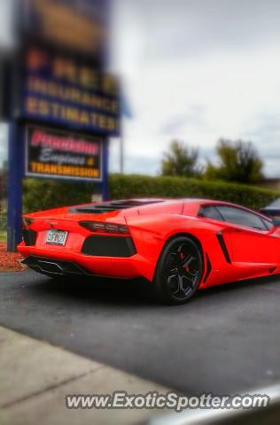 Lamborghini Aventador spotted in Buffalo, New Jersey