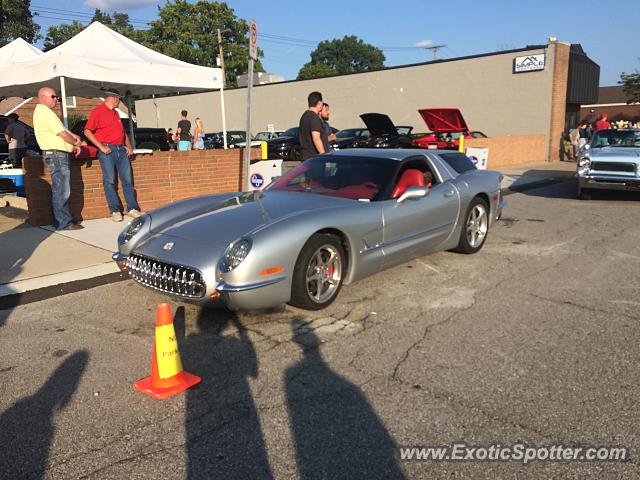 Other Unknown spotted in Birmingham, Michigan