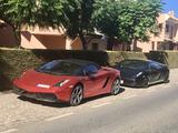 Lamborghini Gallardo