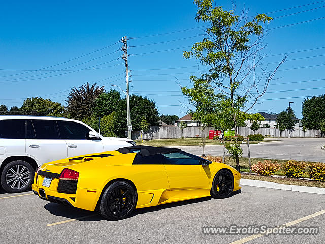 Lamborghini Murcielago spotted in London, Ontario, Canada