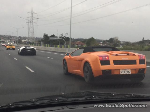 Lamborghini Gallardo spotted in Auckland, New Zealand
