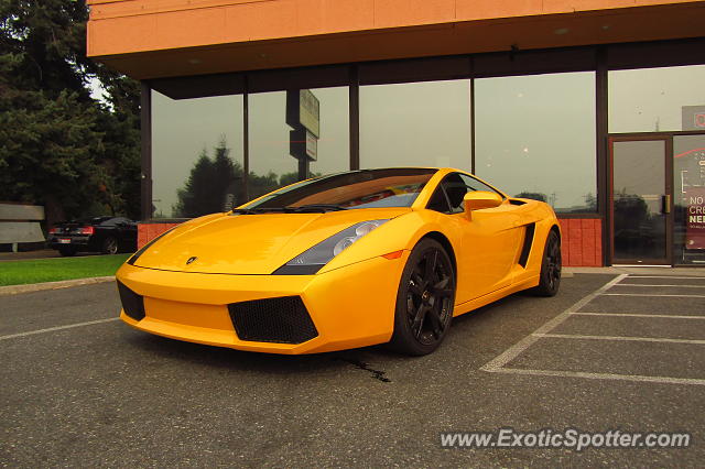 Lamborghini Gallardo spotted in CdA, Idaho