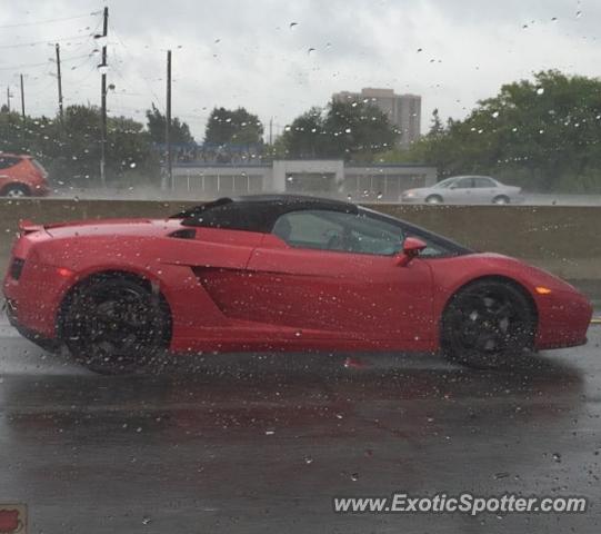 Lamborghini Gallardo spotted in Toronto, Canada