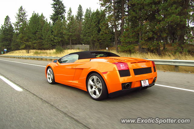 Lamborghini Gallardo spotted in Stateline, Washington