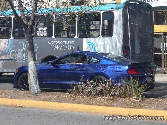 Other Other spotted in Guadalajara, Mexico