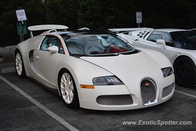 Bugatti Veyron spotted in Monterey, California