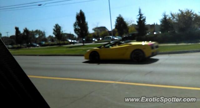 Lamborghini Gallardo spotted in Grand Rapids, Michigan