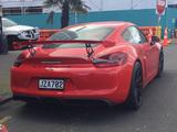 Porsche Cayman GT4