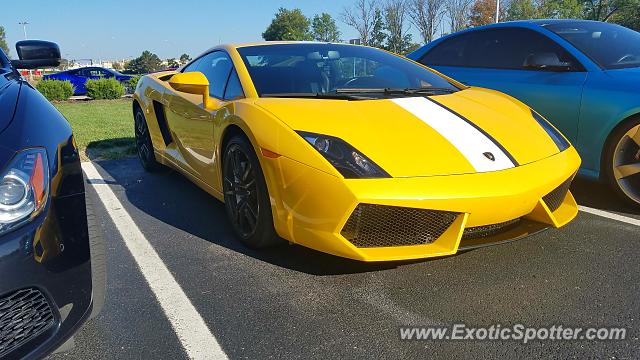 Lamborghini Gallardo spotted in Marysville, Ohio