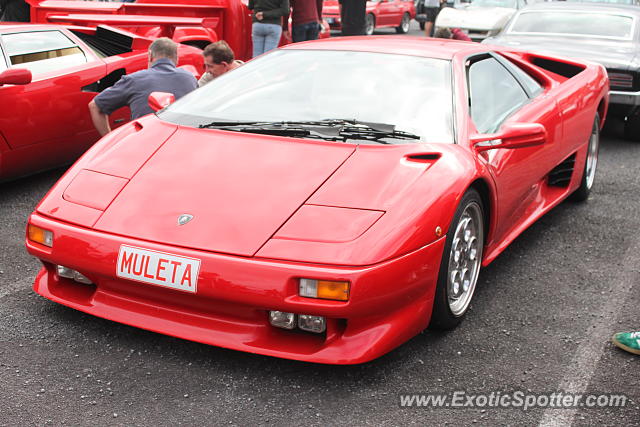 Lamborghini Diablo spotted in Auckland, New Zealand