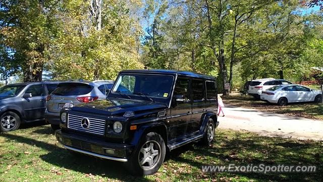 Other Other spotted in Dawsonville, Georgia