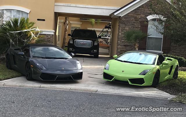 Lamborghini Gallardo spotted in Oakleaf, Florida
