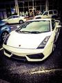 Lamborghini Gallardo