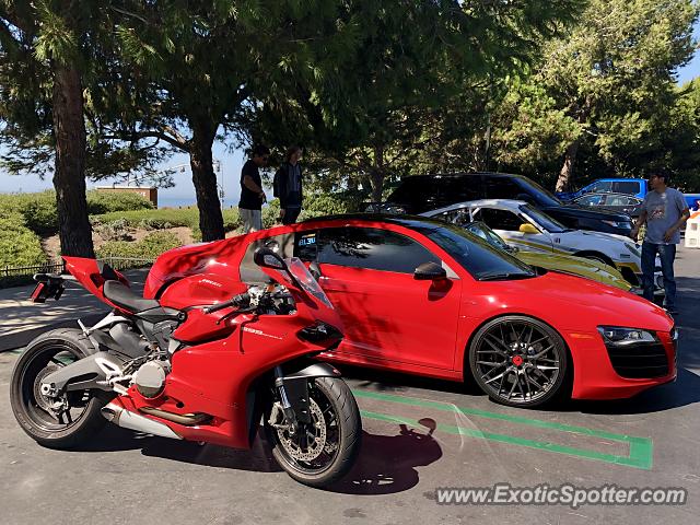 Audi R8 spotted in Newport Beach, California