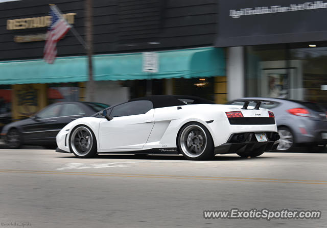 Lamborghini Gallardo spotted in Fort Lauderdale, Florida