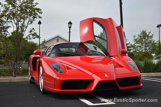 Ferrari Enzo spotted in Mahwah, New Jersey