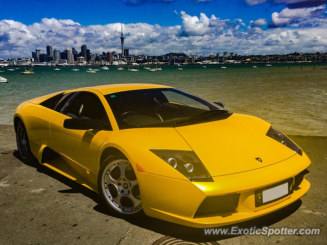 Lamborghini Murcielago spotted in Auckland, New Zealand