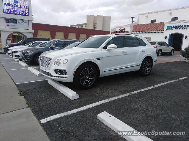 Bentley Bentayga spotted in Albuquerque, New Mexico
