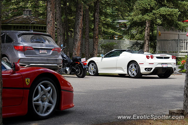 Ferrari F430 spotted in Calgary, Canada