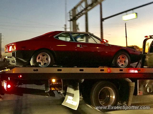 Ferrari 308 GT4 spotted in Deerfield Beach, Florida