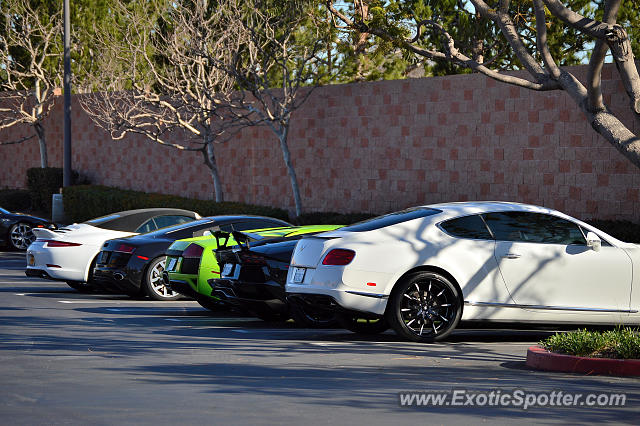 Bentley Continental spotted in Costa Mesa, California