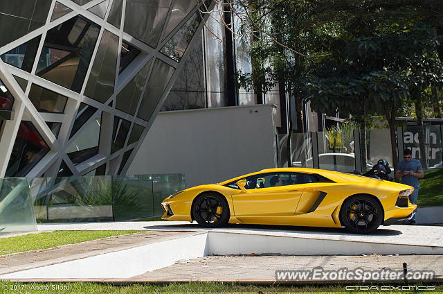 Lamborghini Aventador spotted in São Paulo, SP, Brazil