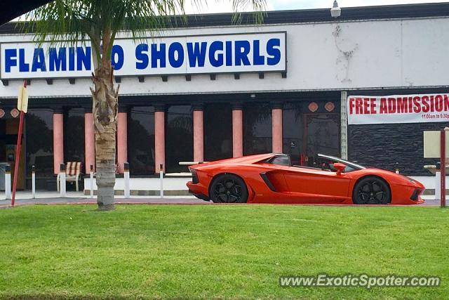 Lamborghini Aventador spotted in Anaheim, California