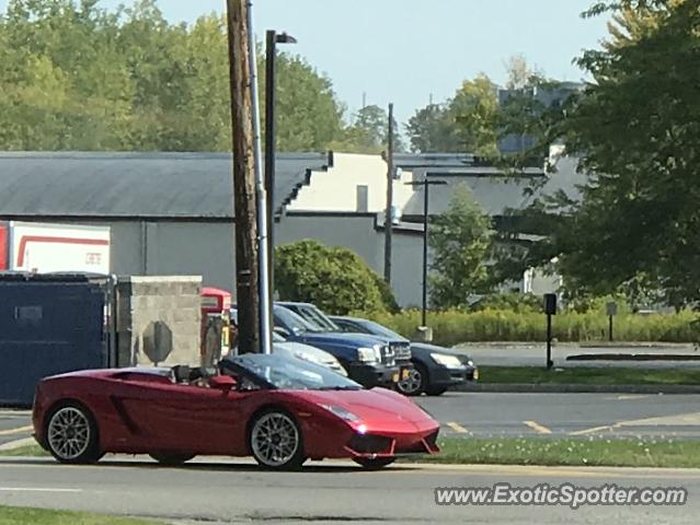 Lamborghini Gallardo spotted in Williamson, New York