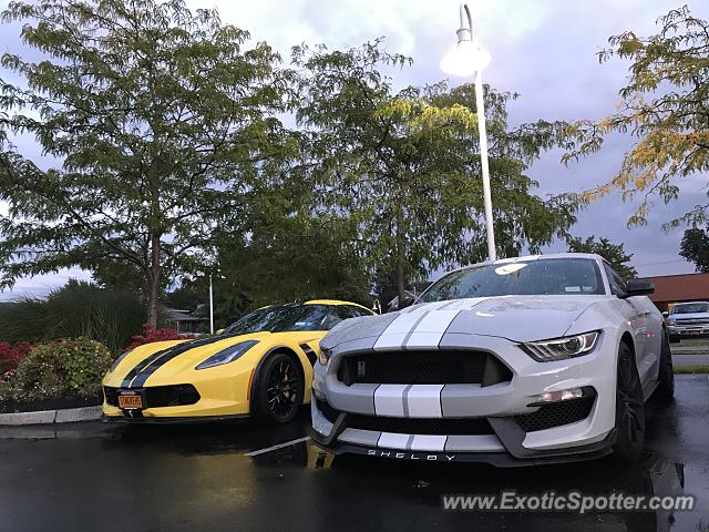 Chevrolet Corvette Z06 spotted in Watkins Glen, New York